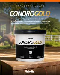 Condrogold Univittá 500g – Suporte Nutricional para Articulações, Mobilidade e Tecidos Estruturais