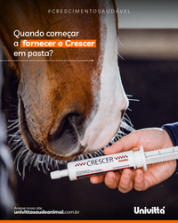 Crescer Pasta Univittá 40g com 2 unidades – Suplemento para Potros e Equídeos Jovens