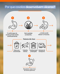 Endogastrin Pasta Univittá 40g com 2 unidades – Suplemento para Conforto Gástrico e Equilíbrio Digestivo