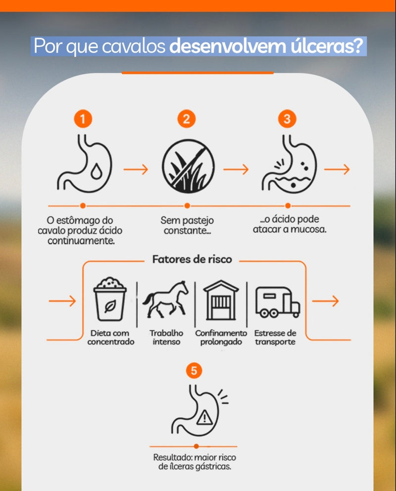 Endogastrin Pasta Univittá 40g com 2 unidades – Suplemento para Conforto Gástrico e Equilíbrio Digestivo
