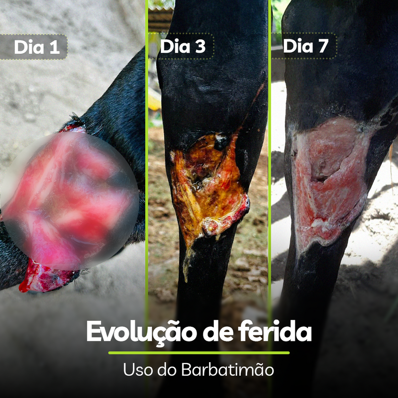 Pomada Hidratante para Pele de Animais Barbatimão Univittá Care 100g