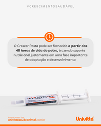 Crescer Pasta Univittá 40g com 2 unidades – Suplemento para Potros e Equídeos Jovens
