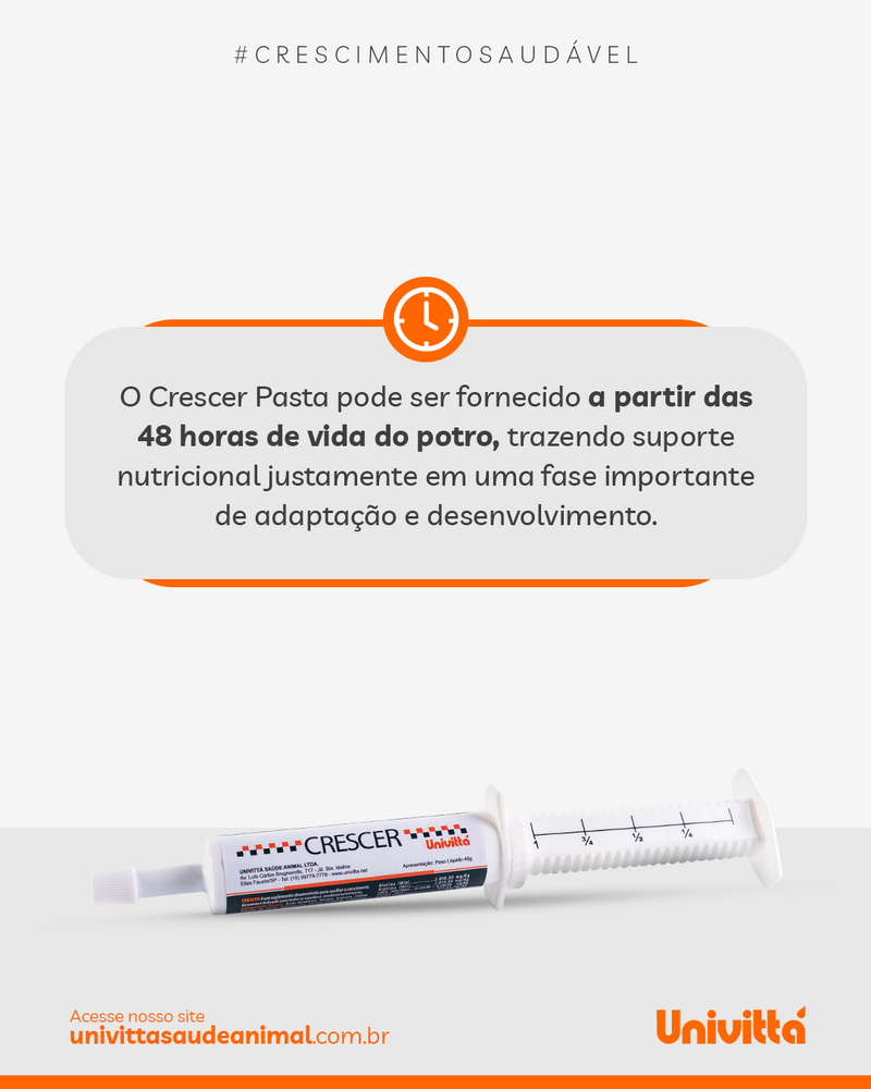 Crescer Pasta Univittá 40g com 2 unidades – Suplemento para Potros e Equídeos Jovens
