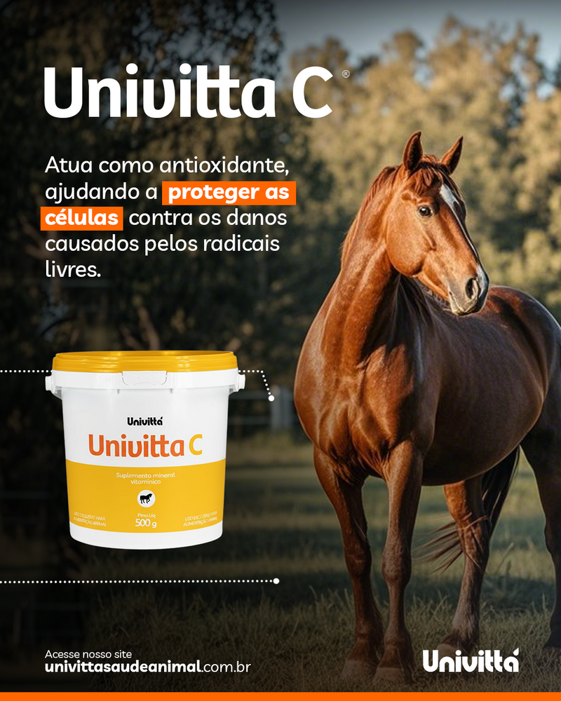 Univittá C 500g – Suplemento de Vitamina C para Suporte Antioxidante