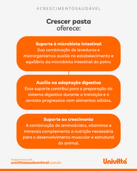 Crescer Pasta Univittá 40g com 2 unidades – Suplemento para Potros e Equídeos Jovens