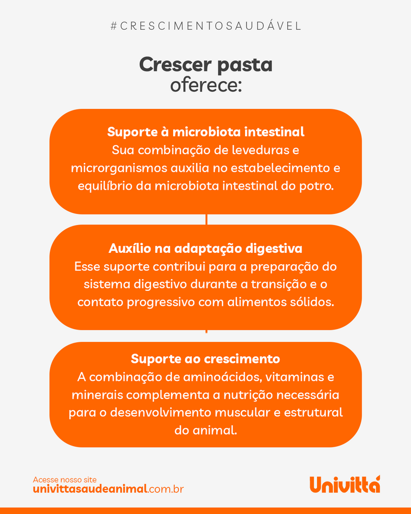Crescer Pasta Univittá 40g com 2 unidades – Suplemento para Potros e Equídeos Jovens