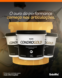 Condrogold Univittá 500g – Suporte Nutricional para Articulações, Mobilidade e Tecidos Estruturais