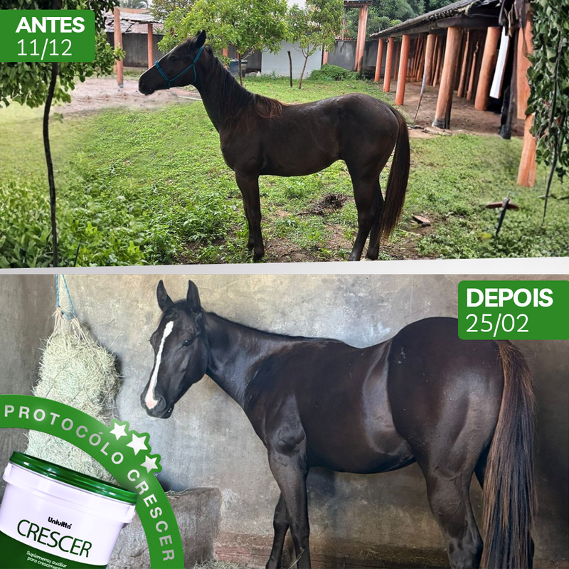 Crescer Univittá 2,5kg e 10kg – Suplemento para Crescimento e Desenvolvimento de Potros