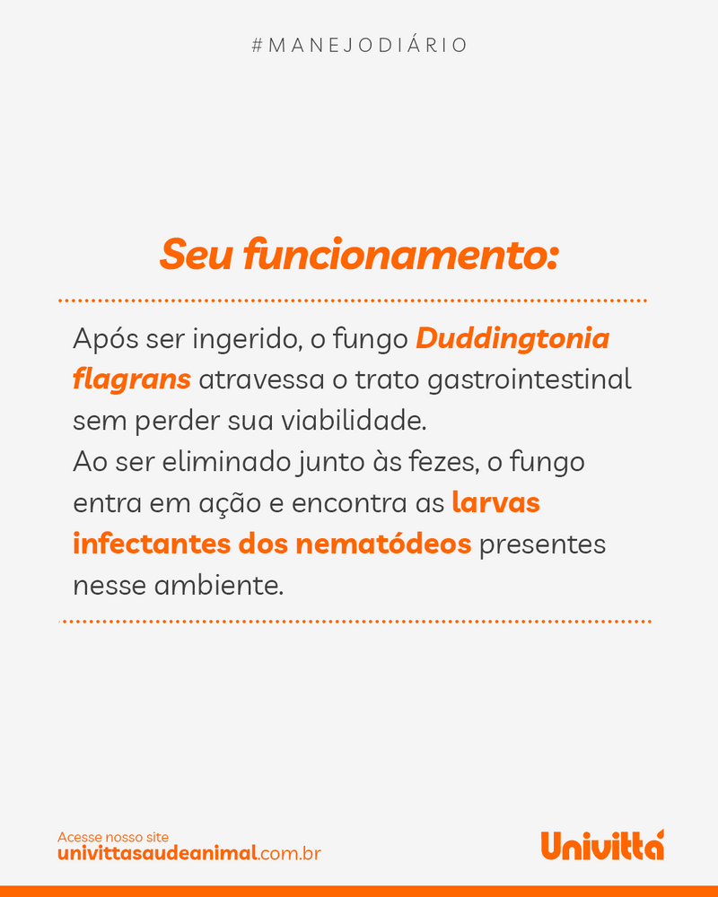 Vermiflora Univittá 2kg – Suplemento para Controle Biológico de Vermes e Redução da Contaminação Ambiental