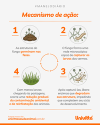 Vermiflora Univittá 2kg – Suplemento para Controle Biológico de Vermes e Redução da Contaminação Ambiental