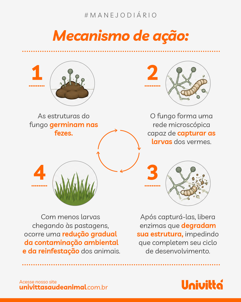 Vermiflora Univittá 2kg – Suplemento para Controle Biológico de Vermes e Redução da Contaminação Ambiental