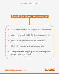 Vermiflora Univittá 2kg – Suplemento para Controle Biológico de Vermes e Redução da Contaminação Ambiental