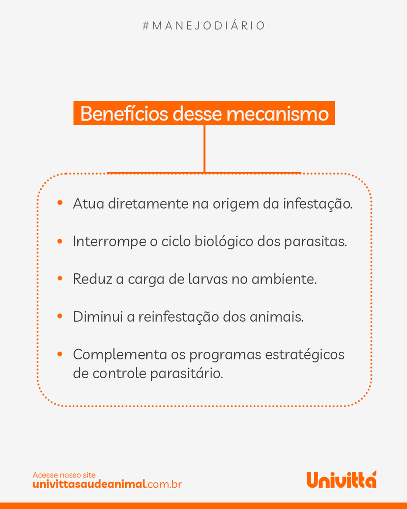 Vermiflora Univittá 2kg – Suplemento para Controle Biológico de Vermes e Redução da Contaminação Ambiental