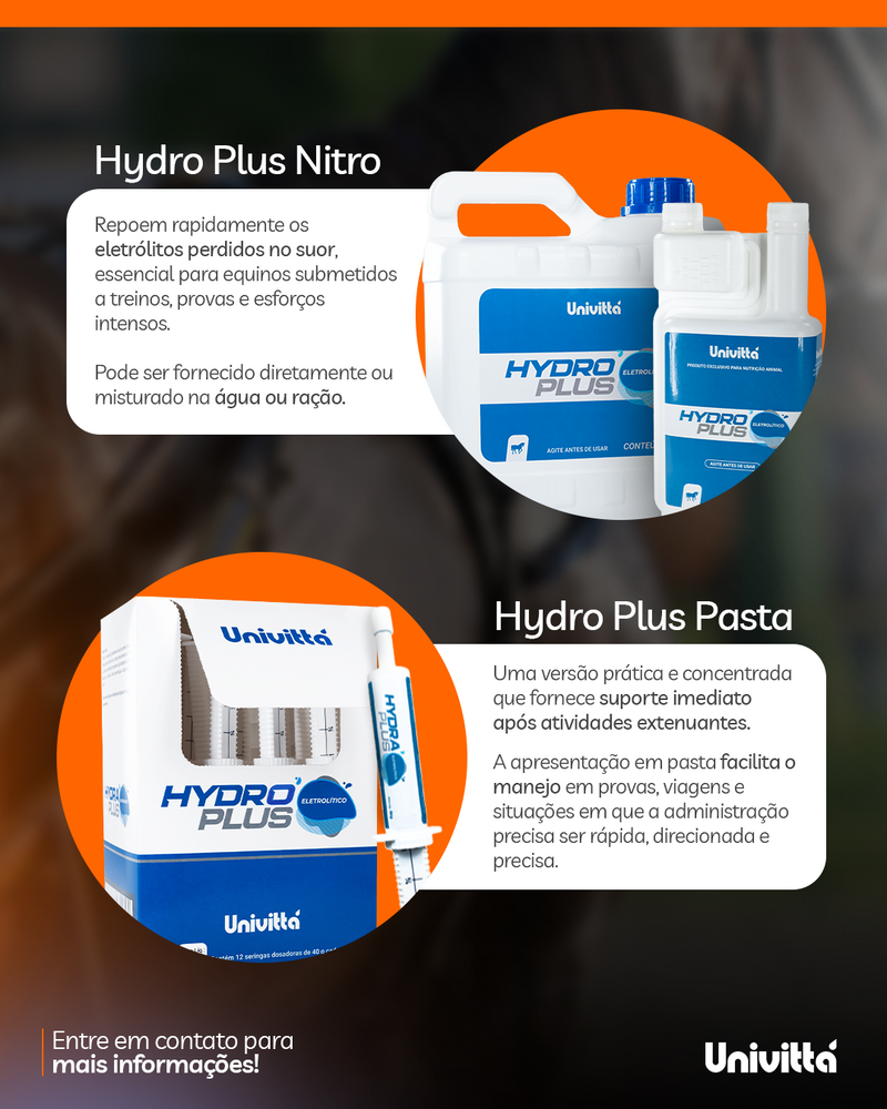 Hydroplus Pasta Univittá 40g com 2 unidades – Suplemento Eletrolítico para Equinos