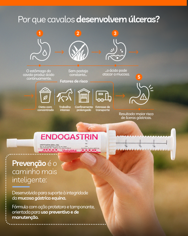 Endogastrin Univittá 1kg – Suplemento para Suporte Gástrico e Digestivo de Equinos