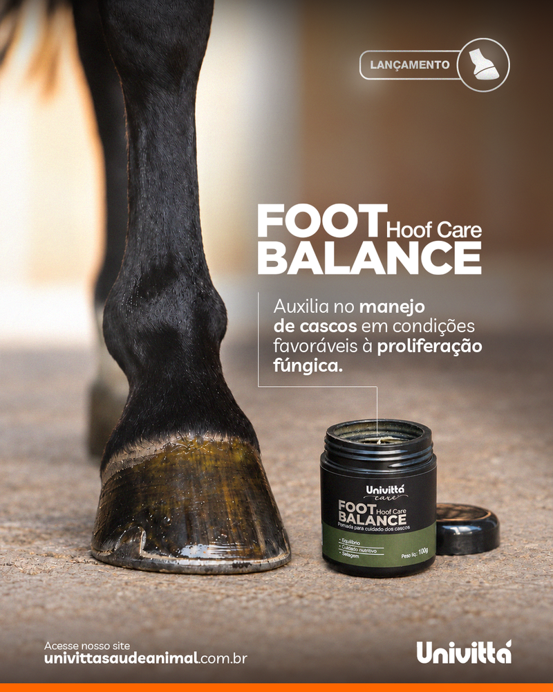Pomada para Casco Foot Balance Hoof Care 100g –  Melaleuca, Sulfato de Cobre e Óxido de Zinco